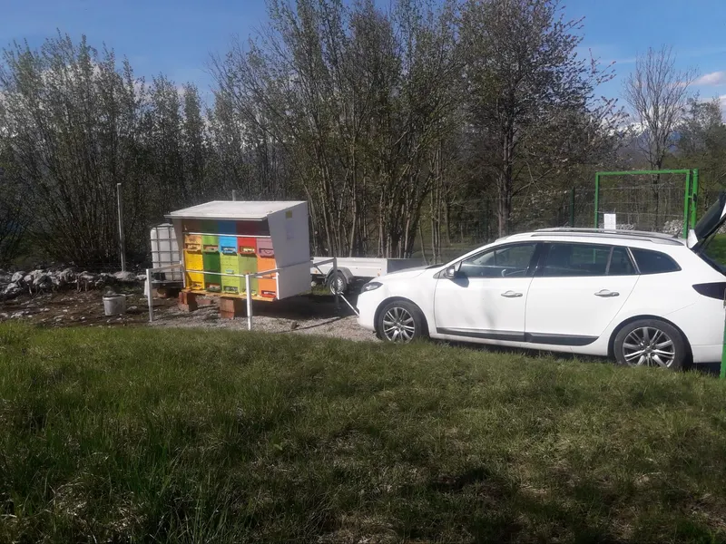 Prevozni čebelnjak s pisanimi panji na travniku Banjške planote
