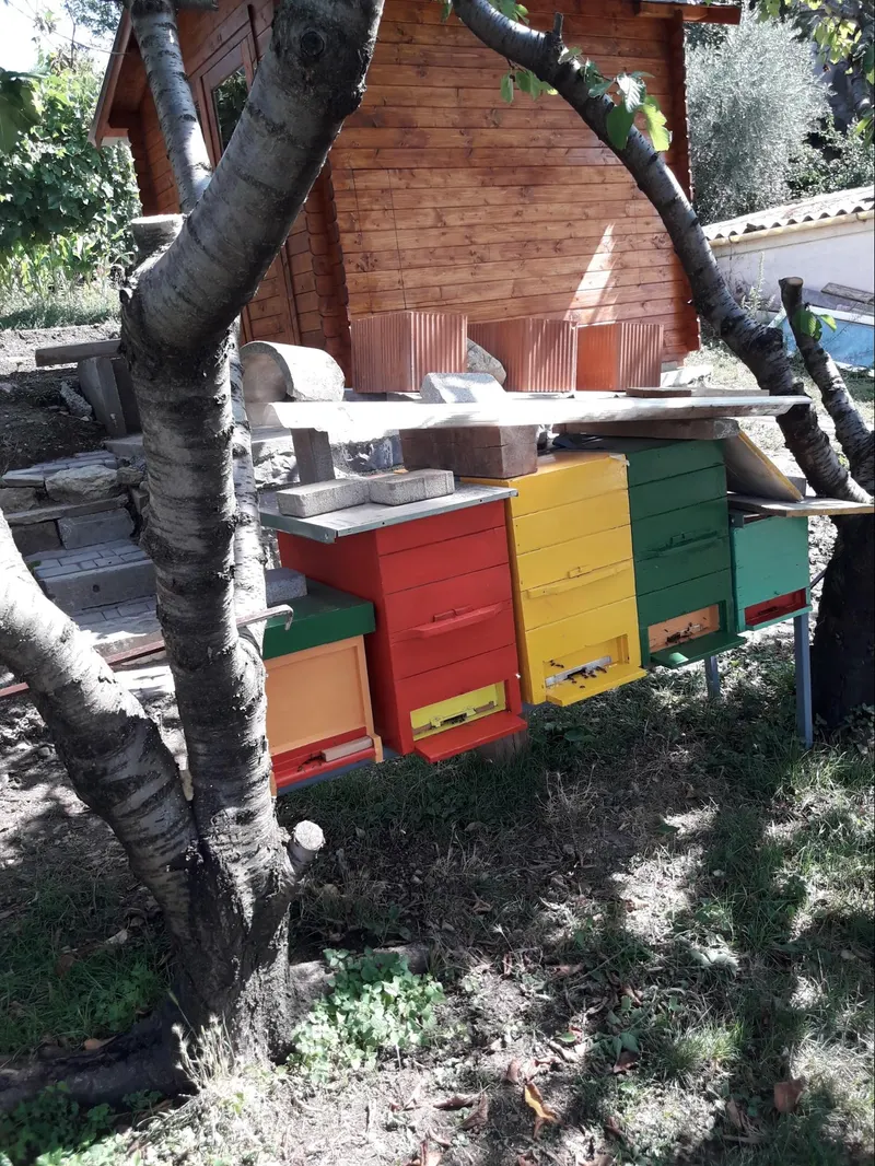 Pisani panji pod drevesom pri hiši v Stomažu, kjer se je leta 2019 začelo naše čebelarjenje